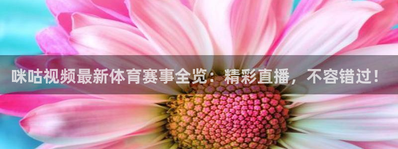 壹号娱乐app