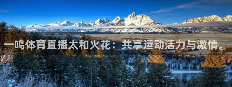 壹号娱乐平台app下载安装