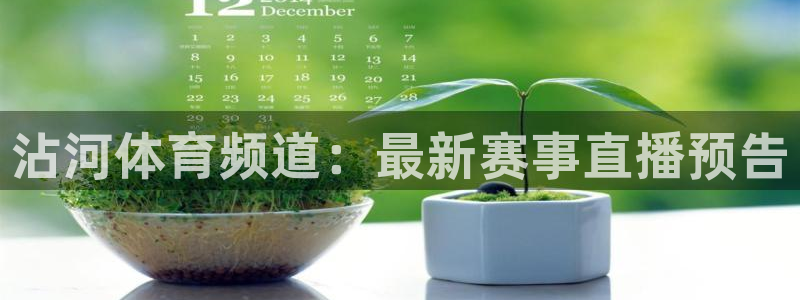 壹号娱乐.com