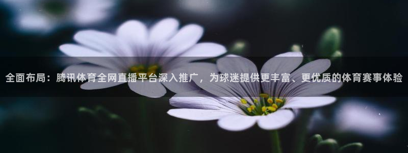 壹号电子娱乐app下载