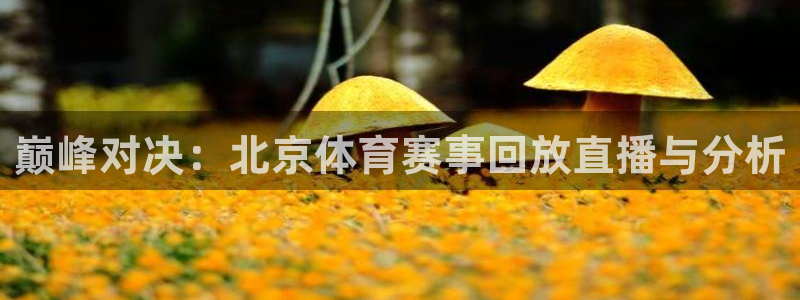 壹号娱乐app下载安装