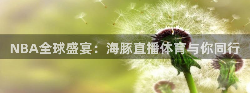 娱乐壹号